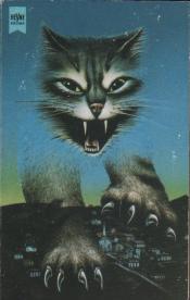 Cover von Katzenmagie
