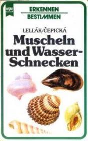 Cover von Muscheln und Wasserschnecken