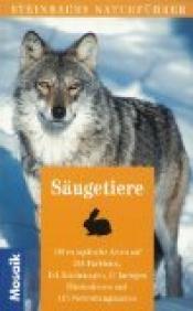 Cover von Steinbachs Naturführer Säugetiere. 140 europäische Arten