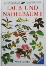 Cover von Laub- und Nadelbäume