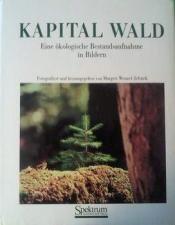 Cover von Kapital Wald