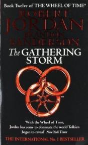 Cover von The Gathering Storm