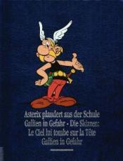 Cover von Asterix Gesamtausgabe Band 12