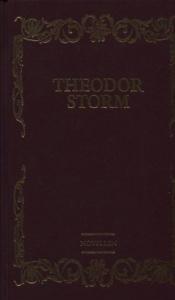 Cover von Theodor Storm