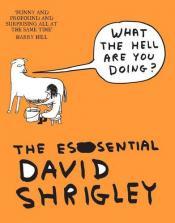 Cover von The Essential David Shrigley