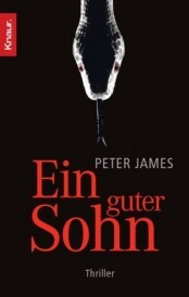 Cover von Ein guter Sohn