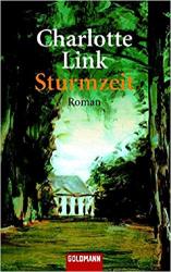 Cover von Sturmzeit
