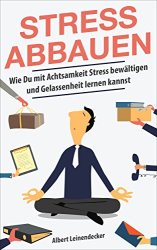 Cover von Stressbewältigung: Stress abbauen - Wie Du mit Achtsamkeit Stress bewältigen und Gelassenheit lernen kannst