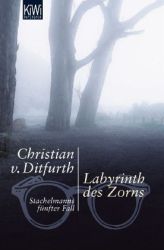 Cover von Labyrinth des Zorns