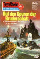 Cover von Auf den Spuren der Bruderschaft