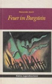 Cover von Feuer im Burgstein