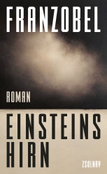 Cover von Einsteins Hirn