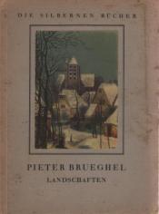 Cover von Pieter Brueghel Landschaften