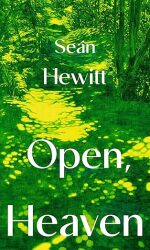 Buch-Sammler.de - Cover von Open, Heaven