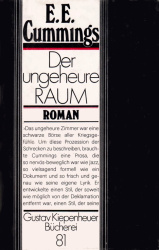 Cover von Der ungeheure Raum