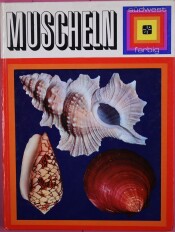 Cover von Muscheln