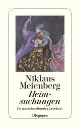 Cover von Heimsuchungen
