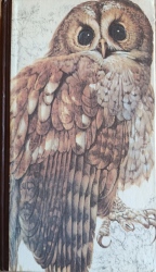 Cover von Buch der Vogelwelt
