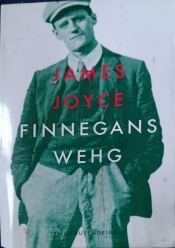 Cover von Finnegans Wehg