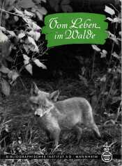 Cover von Vom Leben im Walde