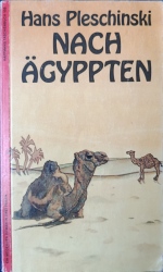 Cover von Nach Ägyppten : ein moderner Roman ; zwei Bücher in einem Band