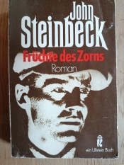 Cover von Früchte des Zorns
