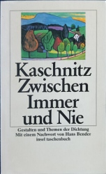 Cover von Zwischen Immer und Nie