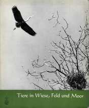 Cover von Tiere in Wiese, Feld und Moor