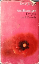 Cover von Annäherungen