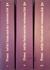 Cover von Auf der Suche nach der verlorenen Zeit