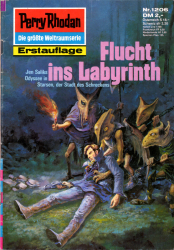 Cover von Flucht ins Labyrinth
