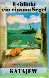 Buchcover von Es blinkt ein einsam Segel