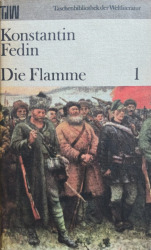 Buchcover von Die Flamme : Band 1