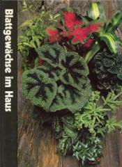 Cover von Blattgewächse im Haus