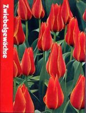 Cover von Zwiebelgewächse