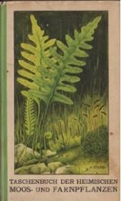 Cover von Taschenbuch der heimischen Moos- und Farnpflanzen