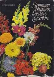 Cover von Sommerblumen für den Garten