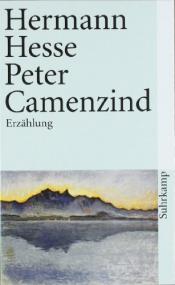 Cover von Peter Camenzind