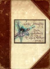 Cover von Lady Cottington - Mein geheimes Elfen-Album