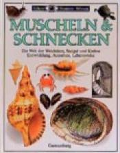 Cover von Muscheln &amp; Schnecken. Die Welt der Weichtiere, Seeigel, Krebse und Schildkröten. Entwicklung, Aussehen, Lebensweise