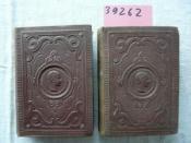 Cover von Peregrinus Proteus