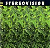 Cover von StereoVision
