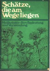 Cover von Schätze, die am Wege liegen